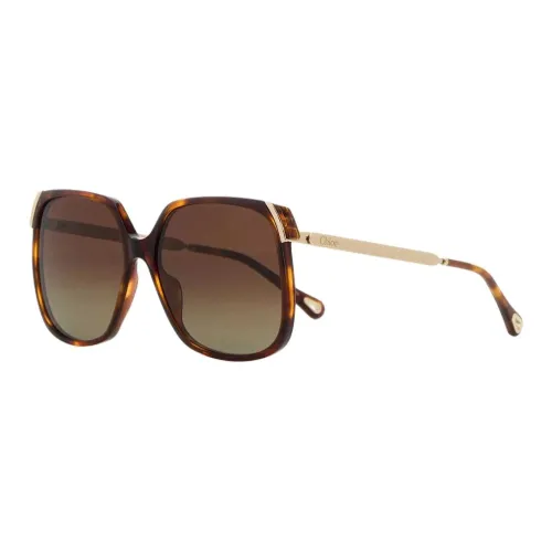 UENO Eyewear Acetate Metal Oval Sunglasses Women's Tortoiseshell