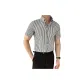 Gray Stripes