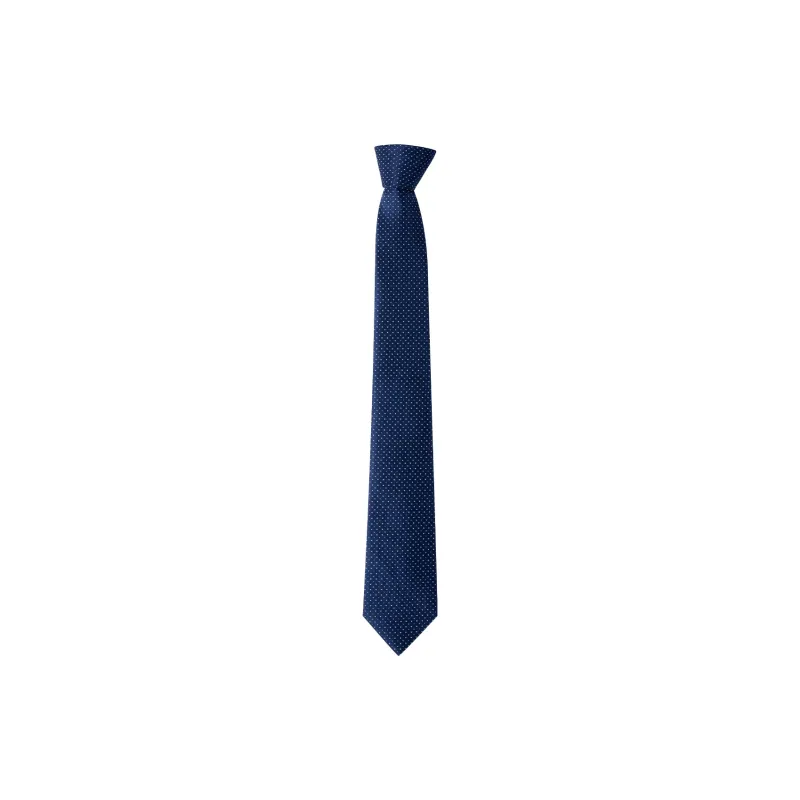 VAUSERDY Ties Men-4