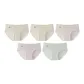 5 Pack (2 Light Green+Apricot Gray+Rose Purple+Multicolor Green)