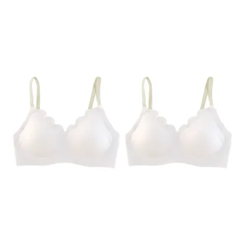 Herbal Primer Bra Women's Combo Set