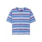 Blue Stripes C39