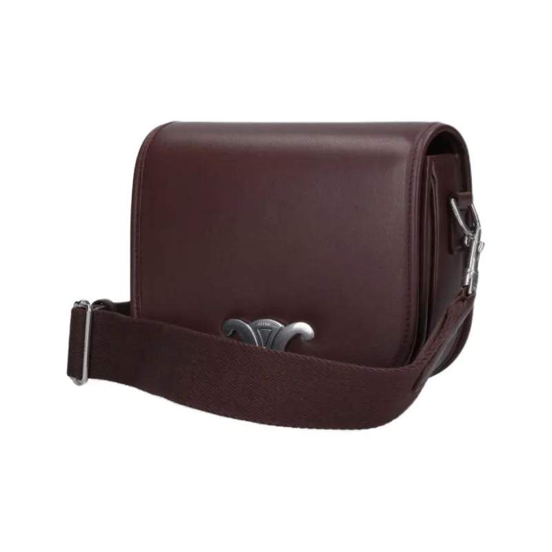 CELINE Triomphe Calfskin Crossbody Bag Men's Brown-1