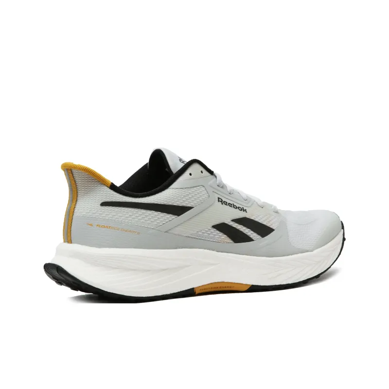 Reebok Floatride Energy 6 'Moon Grey Heritage Gold'-1