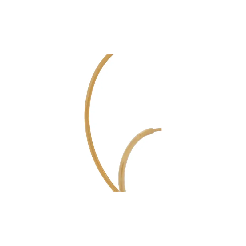 Charlotte Chesnais Saturn Large Earrings-1