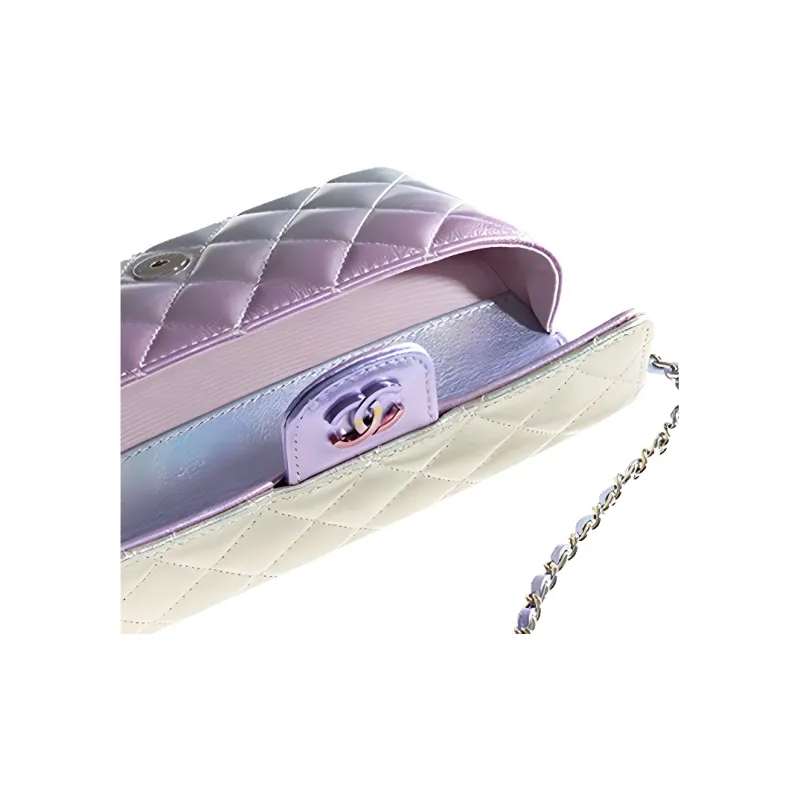 CHANEL Flap Eyeglass Pouch, Glass Storage Box, Crossbody Bag Women's Iridescent Macaron Color-1