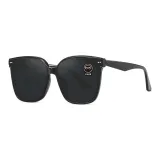 Black Frame with Gray Lens (Standard Lens)