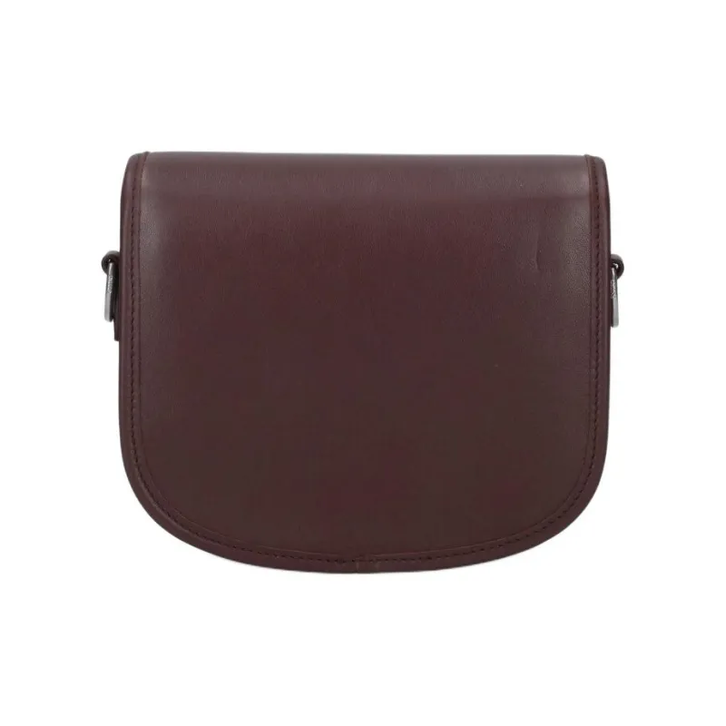 CELINE Triomphe Calfskin Crossbody Bag Men's Brown-2