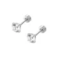[1 Pair]White Bird's Nest Zircon (Medical Titanium Steel)