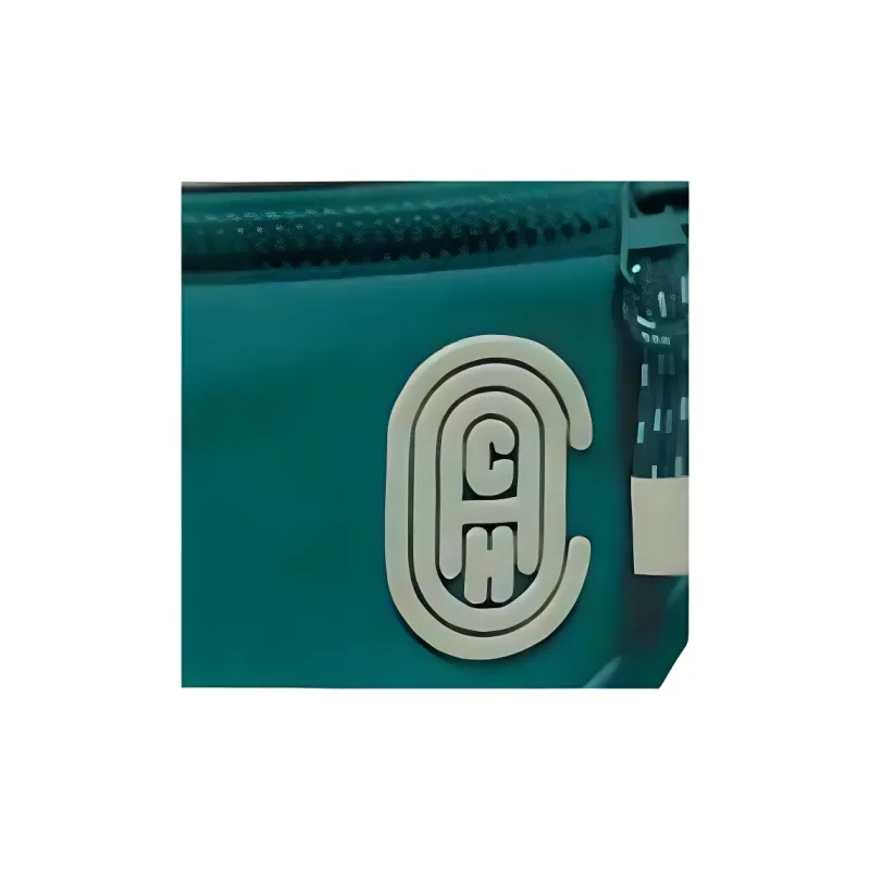 COACH Rivington Leather Crossbody Bag, One Shoulder Crossbody, Fanny Pack, Sling Bag Large Size Men's Green-3