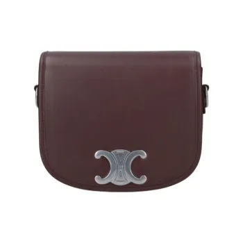CELINE Triomphe Calfskin Crossbody Bag Men's Brown