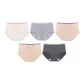 5 Pack (Apricot Gray+Heather Gray+2 Milk Coffee+Dark Gray)