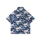Wave Splashes