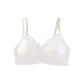 1 Pack (Milk White)