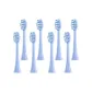 Snow Crystal Blue[8 Pcs Set]