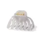 Gray-Hair Claw Clip