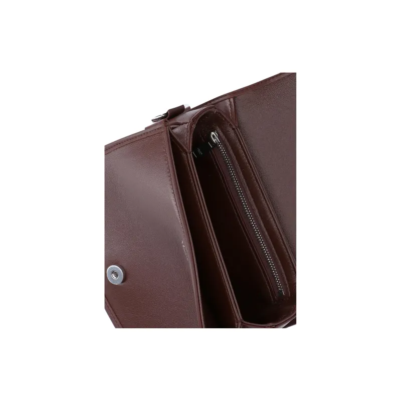 CELINE Triomphe Calfskin Crossbody Bag Men's Brown-3