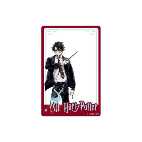 HARRY POTTER Photo Cards