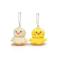 Chicken-Magnetic Pair