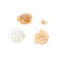 Apricot Floral Shoe and Accessory Combination