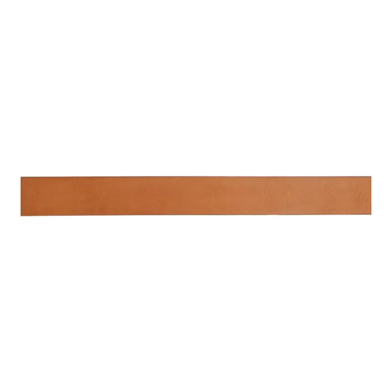 ISABEL MARANT ETOILE Calfskin Leather Belts Women's Brown -2