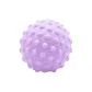 Membrane Ball[Single Ball]-Purple