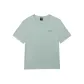 Light Grass Green