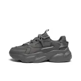 Dark Gray[Premium Gray]