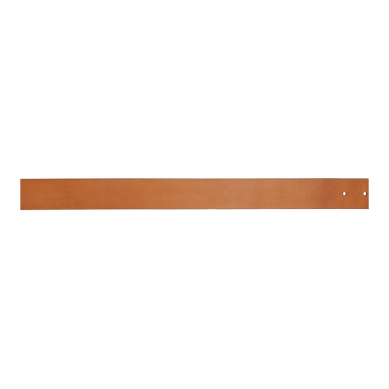 ISABEL MARANT ETOILE Calfskin Leather Belts Women's Brown -1