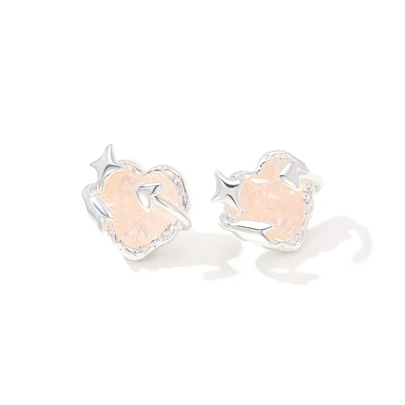 Lady Go S925 Silver Stud Earrings Women's-3