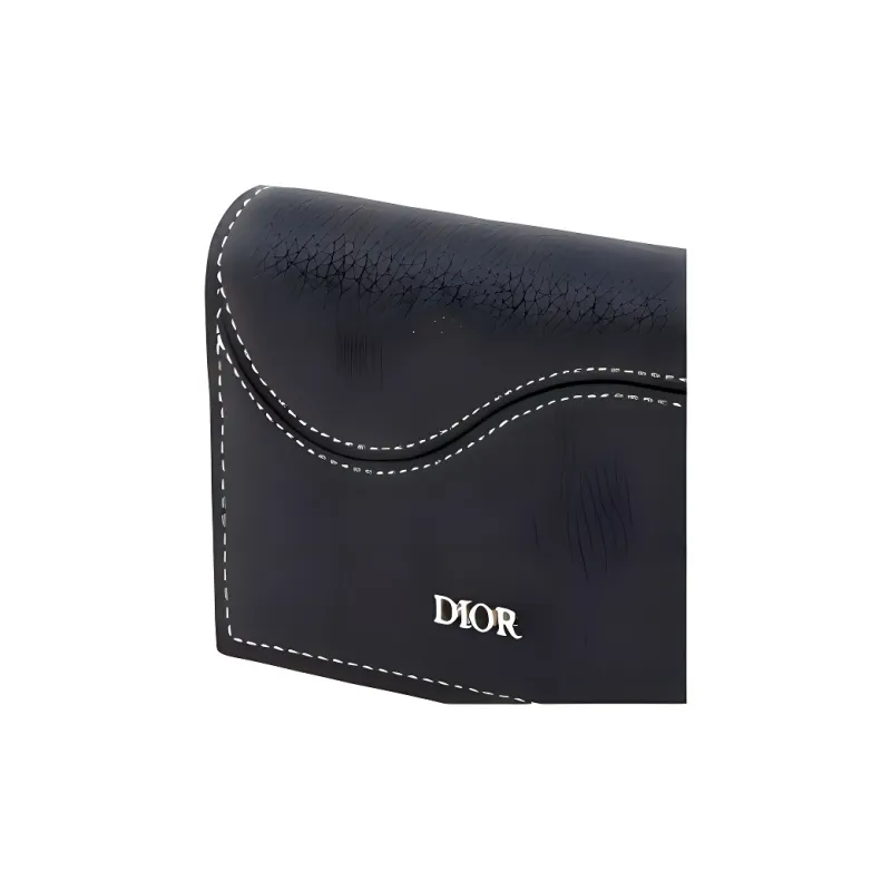 DIOR Saddle Grained Cow Leather Wallet Men's Black-3