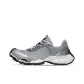 Gray Silver