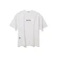 Oat Gray Color 4PB