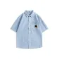 Light Blue (Blank)