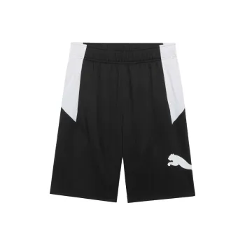 PUMA TRAINDRYCELL Sports Shorts Men's Black White