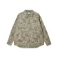 E06 Gray Green