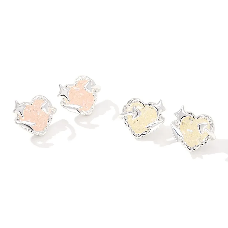 Lady Go S925 Silver Stud Earrings Women's-2