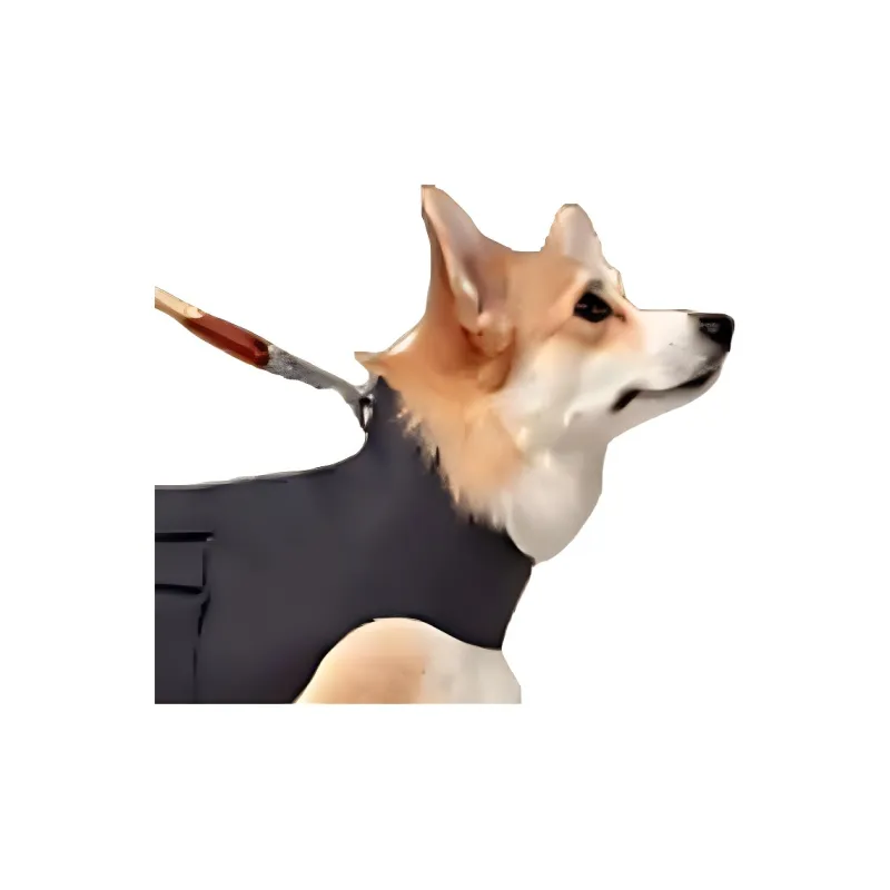 HERMES Pet Clothing-1