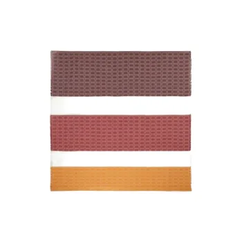 FERRAGAMO Cotton Shawls Men's Multicolor