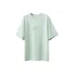 Ice Salt Green