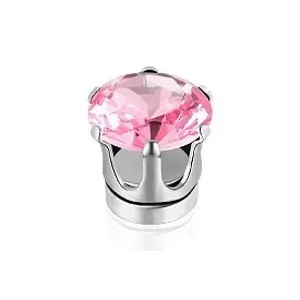 Daisy Dream Titanium Steel Clip On Earrings Unisex-5