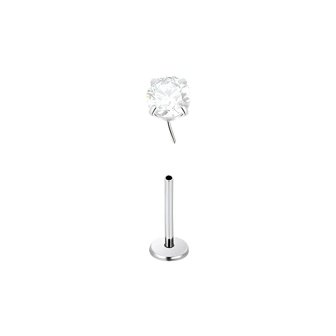 Daisy Dream Titanium Stud Earrings Women's-5