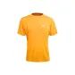 Orange Yellow & Orange Osmanthus Yellow