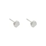 Small Brushed Silver 1 Pair ED65H