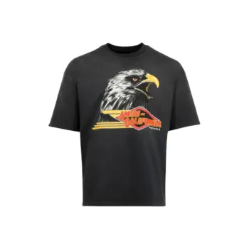 AMIRI Graphic print T shirt
