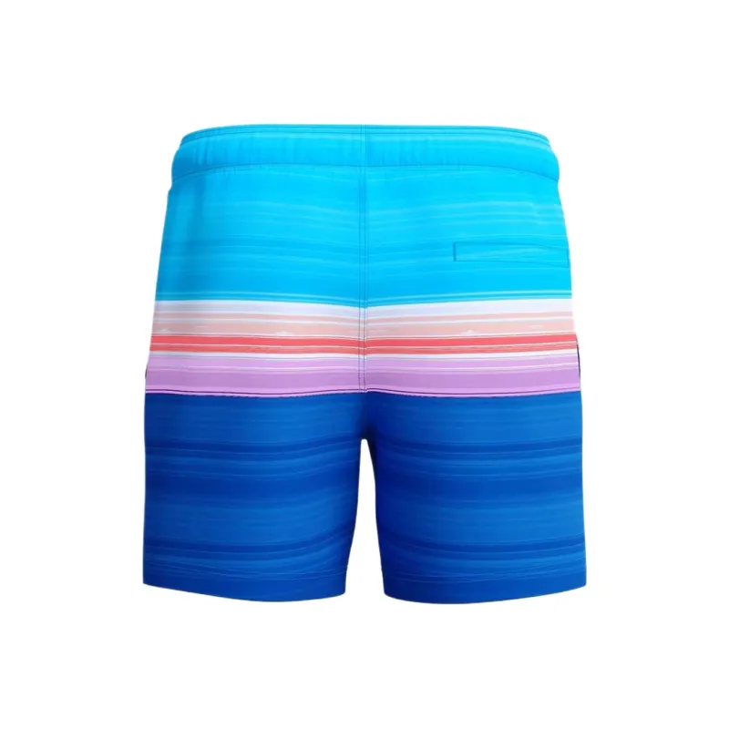 Speedo Swimming Shorts Men's Blue-2