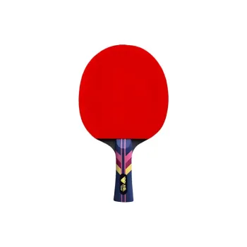 DOUBLE FISH Ping Pong Paddles