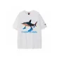 White (Shark)