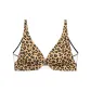 Leopard Print
