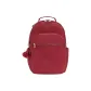 Shang Red